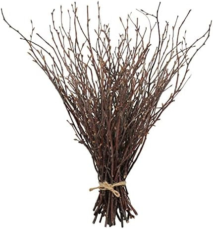 Amazon.com: Uieke 50PCS Birch Twigs – 17 Inch Natural Dried Plants Decorative Birch Branches fo... | Amazon (US)