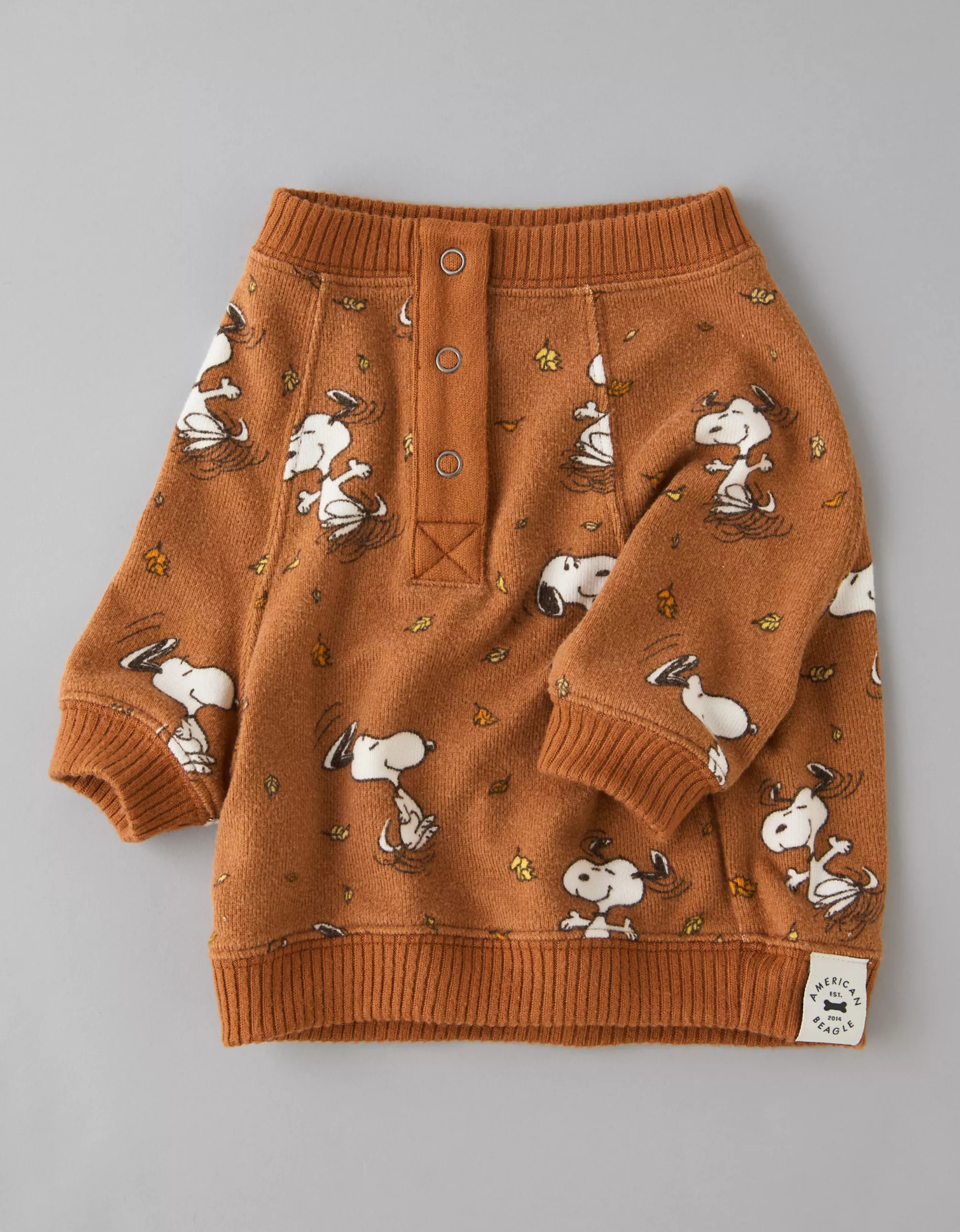 ABO Snoopy Fall Leaves Plush PJ Shirt | American Eagle Outfitters (US & CA)
