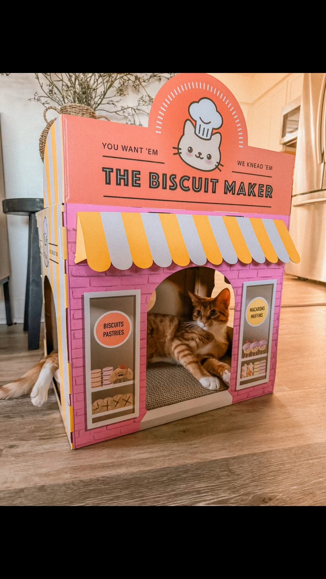 Our lil biscuit chef 👨‍🍳🐈

A need for any cat lovers who love to make biscuits! 

Target find, Target, Target pet, Cat house, Cat toy, Cat scratcher, Cats

#LTKPets #LTKFindsUnder50