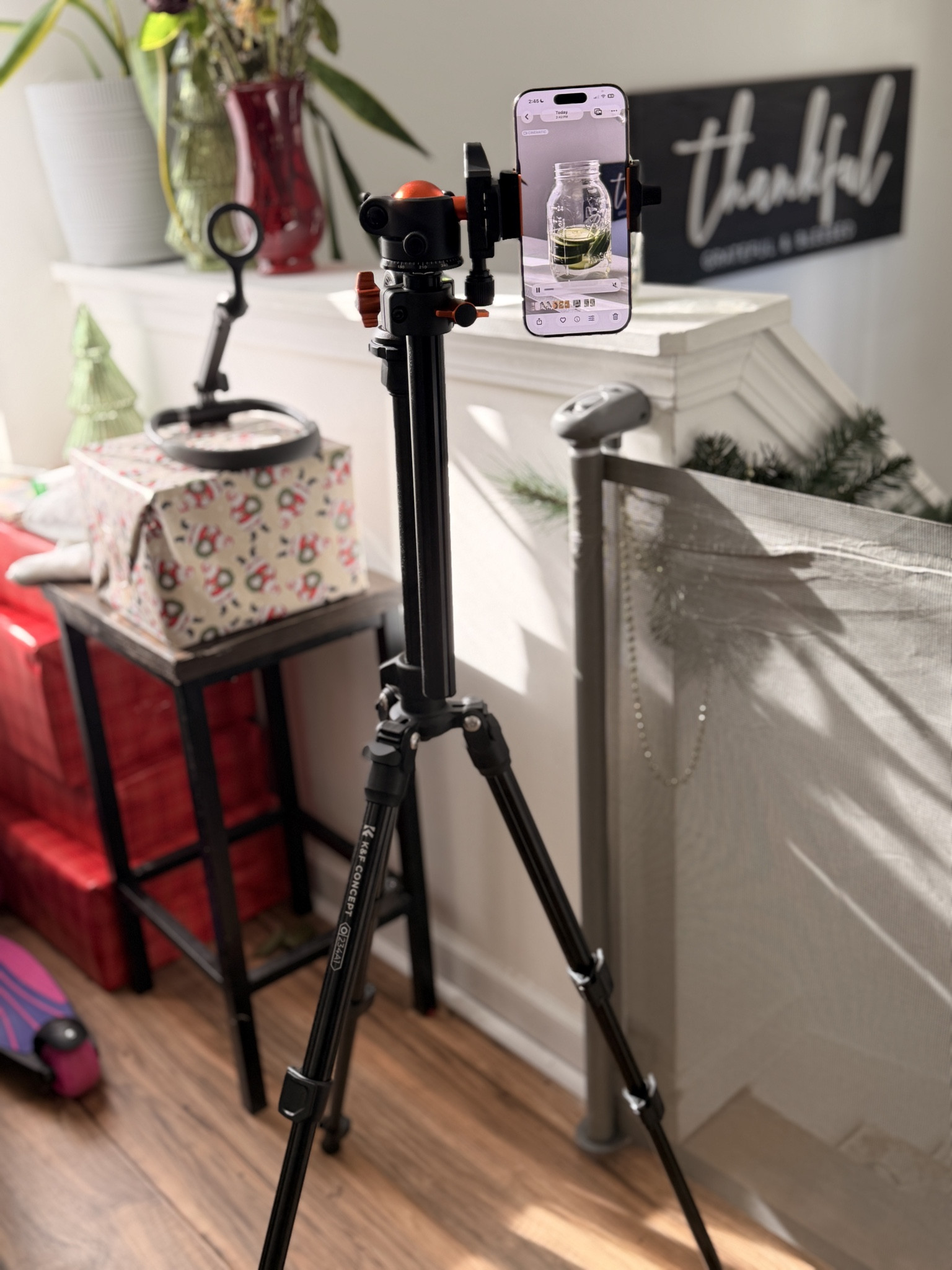 My content creator essentials that make filming, editing, and showing up online so much easier 📸✨
From lighting to tripods to everyday tools I actually use behind the scenes.
I linked all my must-haves on LTK for anyone building content consistently.

#contentcreator #creatoressentials #filmingtools #contentcreation #LTKfinds #LTKsale #shoppingfavorites #onlineshopping #creatoreconomy #ShoppingWithPriiincesss #Atlantamom #AtlantaCreator #Atlantacontentcreators

#LTKFindsUnder50 #LTKvlog #LTKHome