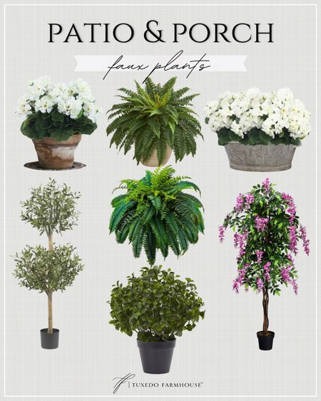 Patio & Porch - Faux Plants

A faux plant is immune to drought and can complement an outdoor space that perhaps gets too much shape to accommodate plant growth! Use them to supplement your own green thumb (or lack of one)!

Season, Spring, home, outdoor, plants

#LTKhome #LTKSeasonal