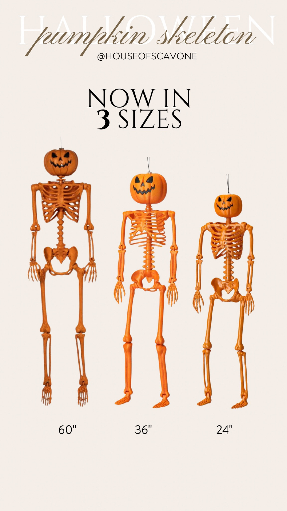 viral pumpkin skeleton now available in 3 sizes! 60” (have and love), 36” and 24”! Which one are you going to get? #pumpkinskeleton #pumpkin #pumpkinskelly #skeleton #skelly #homedecor #halloweenhomedecor #halloween #halloweenskeleton #halloweendecor #halloweeninspo

#LTKSeasonal #LTKHome #LTKFindsUnder50