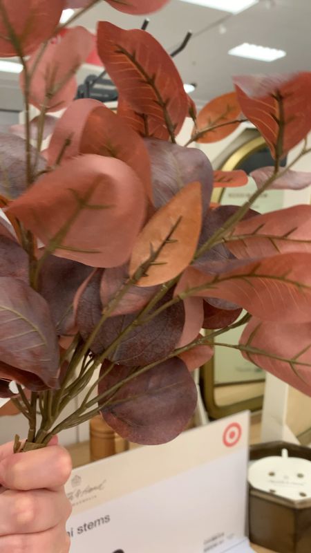 Beautiful fall leaf steams are new at Target.  Perfect for all kinds of fall decorating. 

• Faux fall foliage  • Fall Decorating • Fall Leaf Stems • Heart & Hand brand • Target  Decor • 

#LTKhome #LTKunder50 #LTKSeasonal