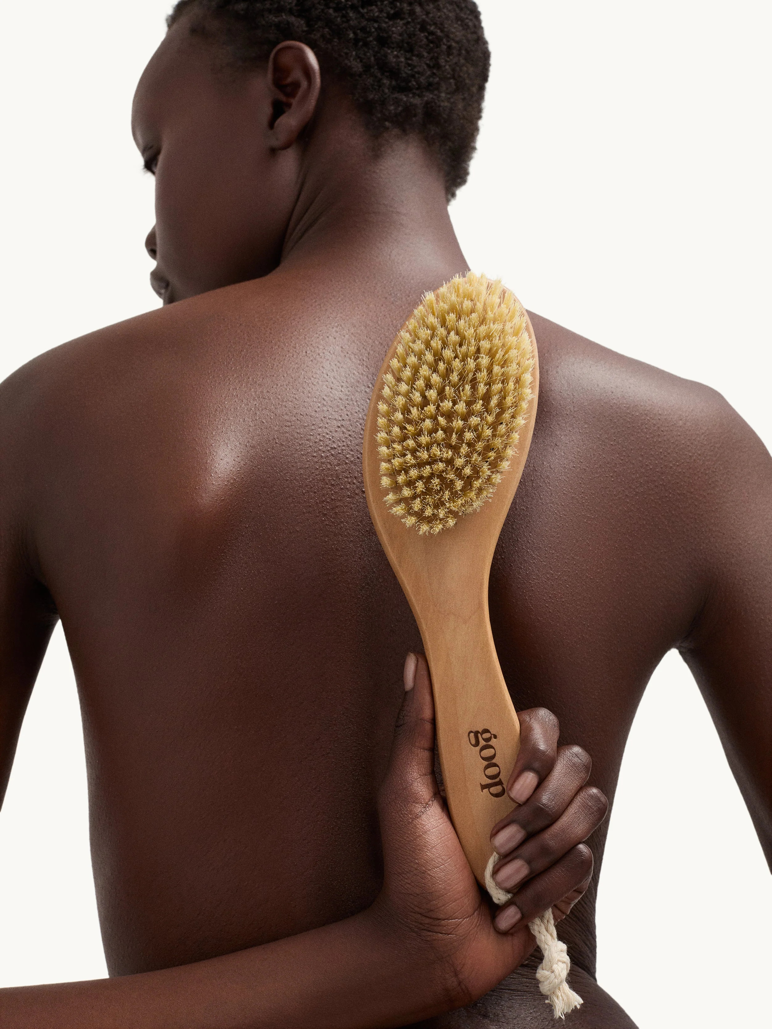 goop | Ultimate Dry Brush | goop