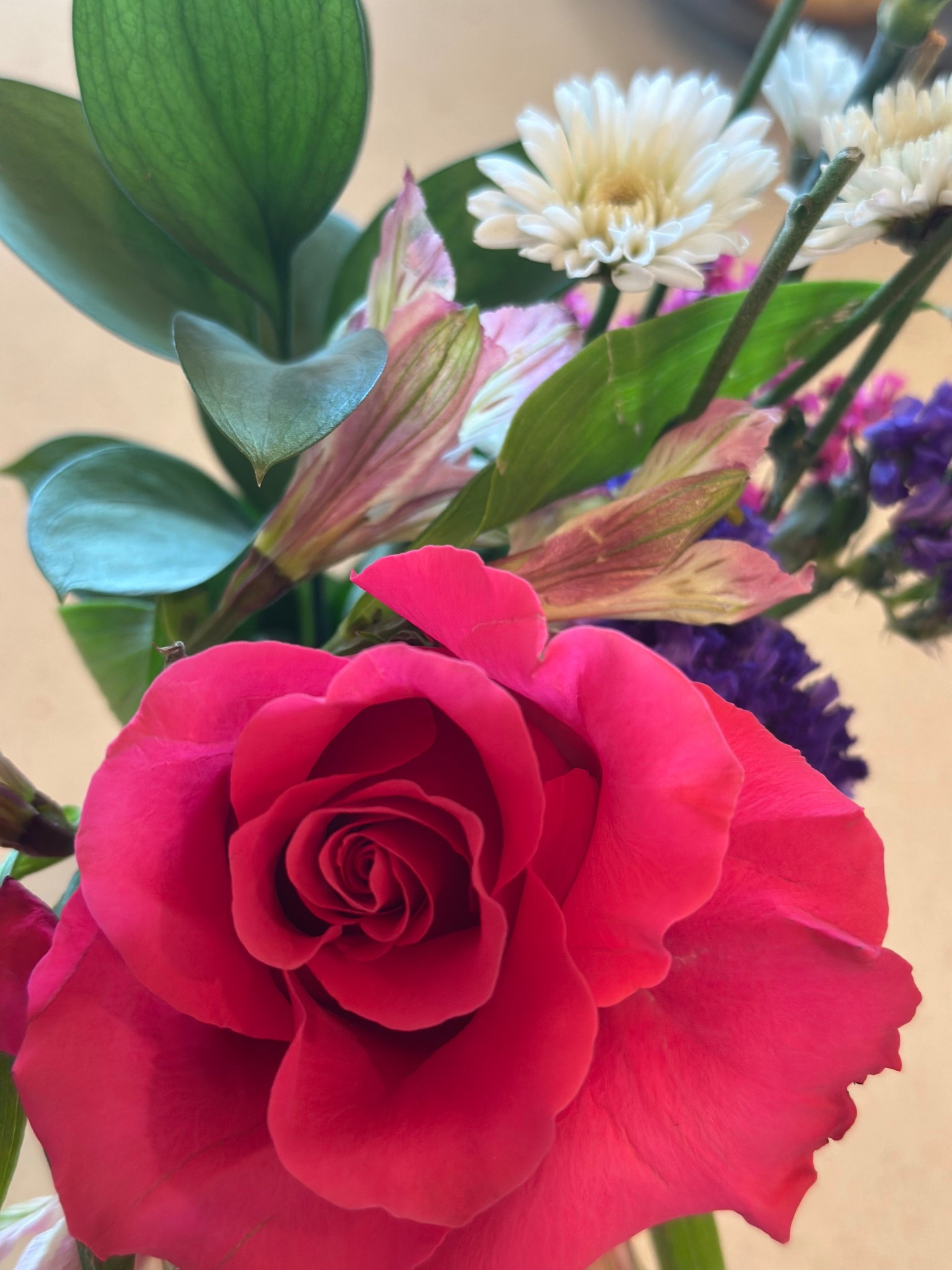 My mom surprised me with these beautiful flowers today!! 🌸💖🥰

#LTKHome #LTKFamily