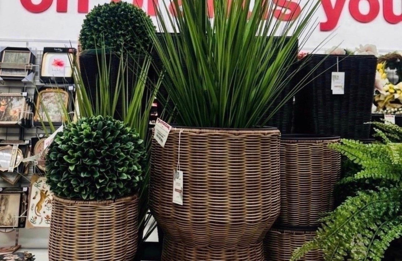 The secret to a green thumb? Good faux plants. 🌿 I am obsessed with these woven hourglass planters and the texture they add to a room. Pro tip: mix different heights and leaf styles to make your indoor jungle look intentional and lush. Found these gems today and had to share! 🪴✨

#LTKHome
