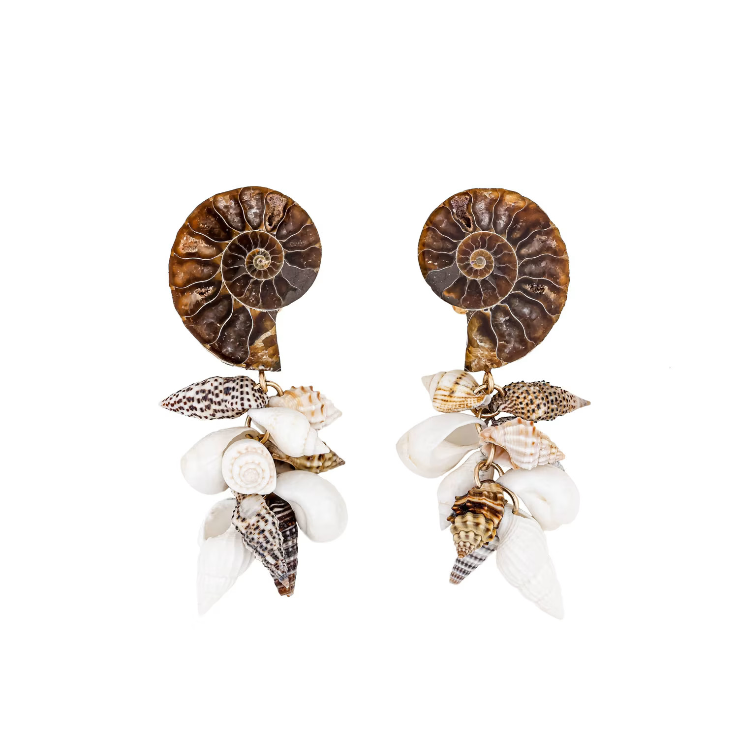 Sea Treasures Brown Ammonite Seashells Gold One Of A Kind Earrings | Wolf & Badger