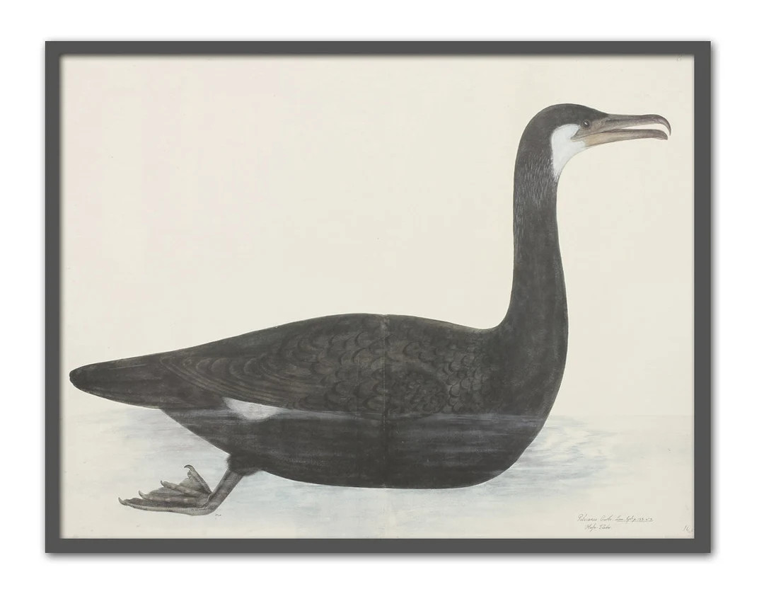 Cormorant Bird Print Horizontal Wall Art Decor Living Room Decor Large Wall Art Print Large Water... | Etsy (US)
