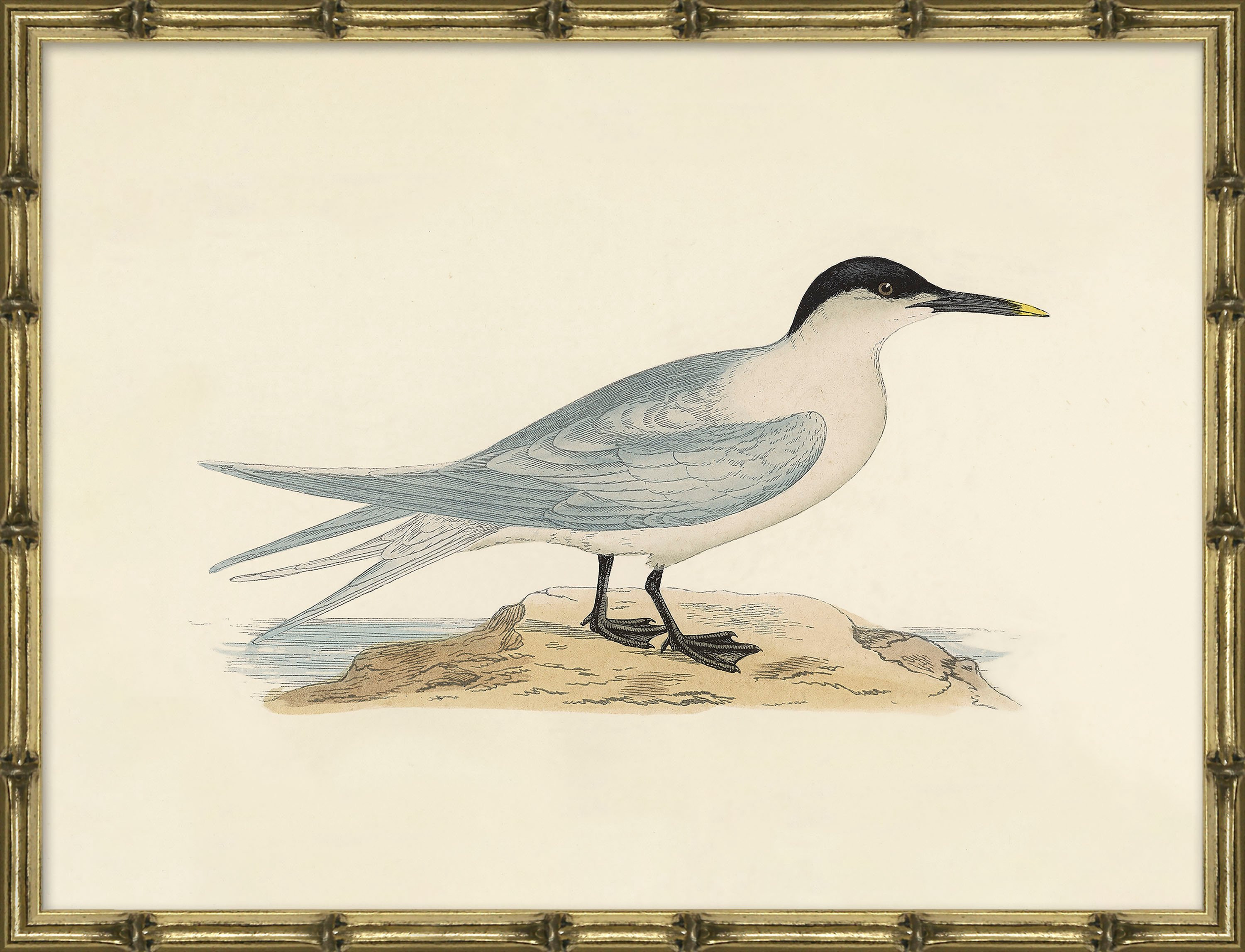 Sea Bird 1 | One Kings Lane