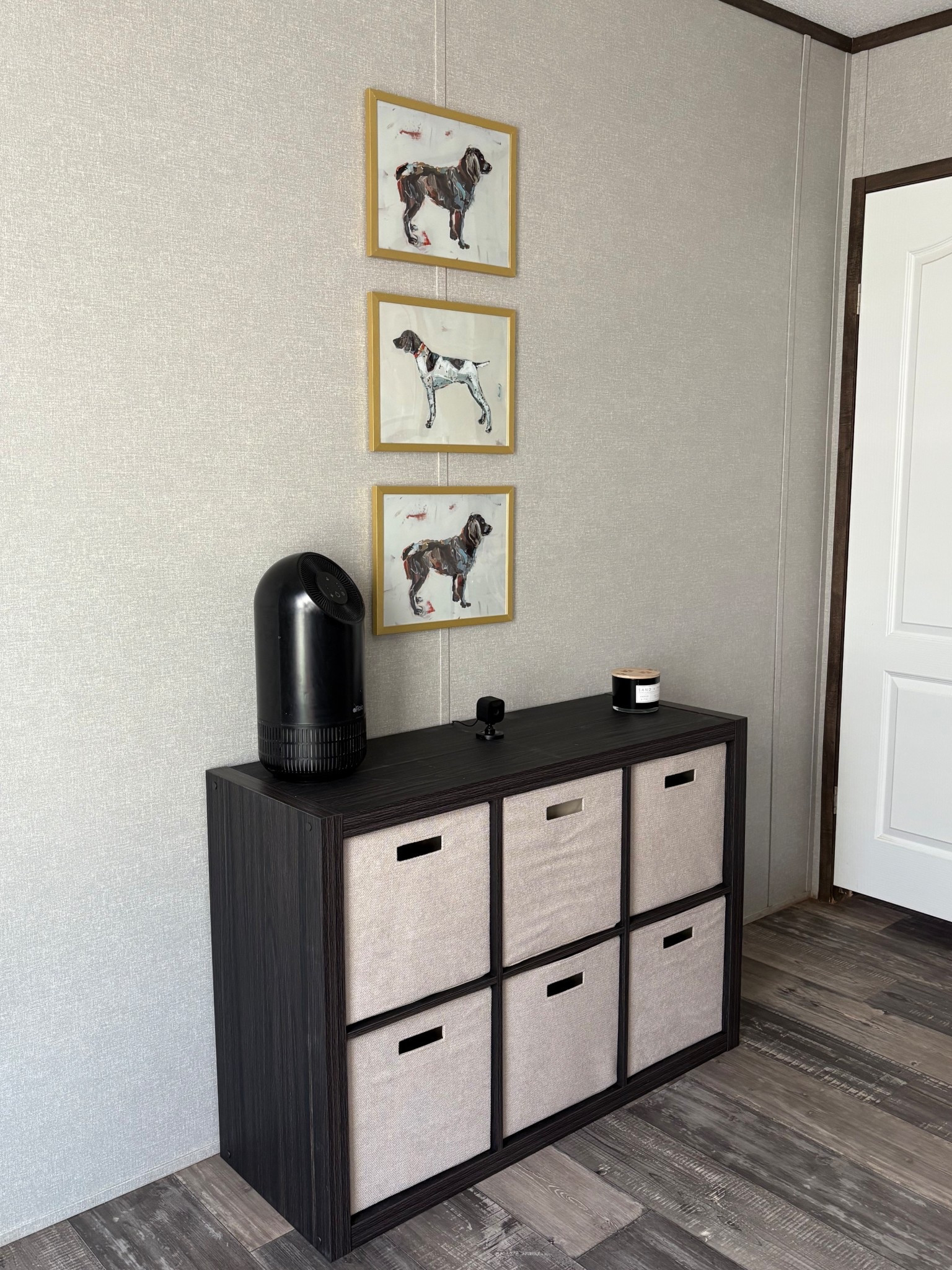 dog room organization and other things 🤎

#LTKHome
