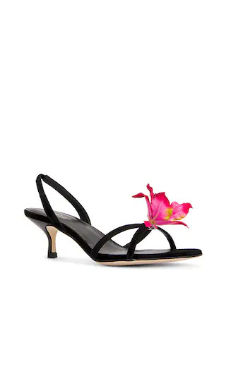 Kloe Heel in Black | Revolve Clothing (Global)