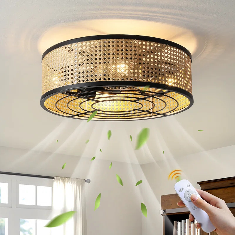 Peddie 20" Boho Caged Ceiling Fan with Lights | Wayfair North America