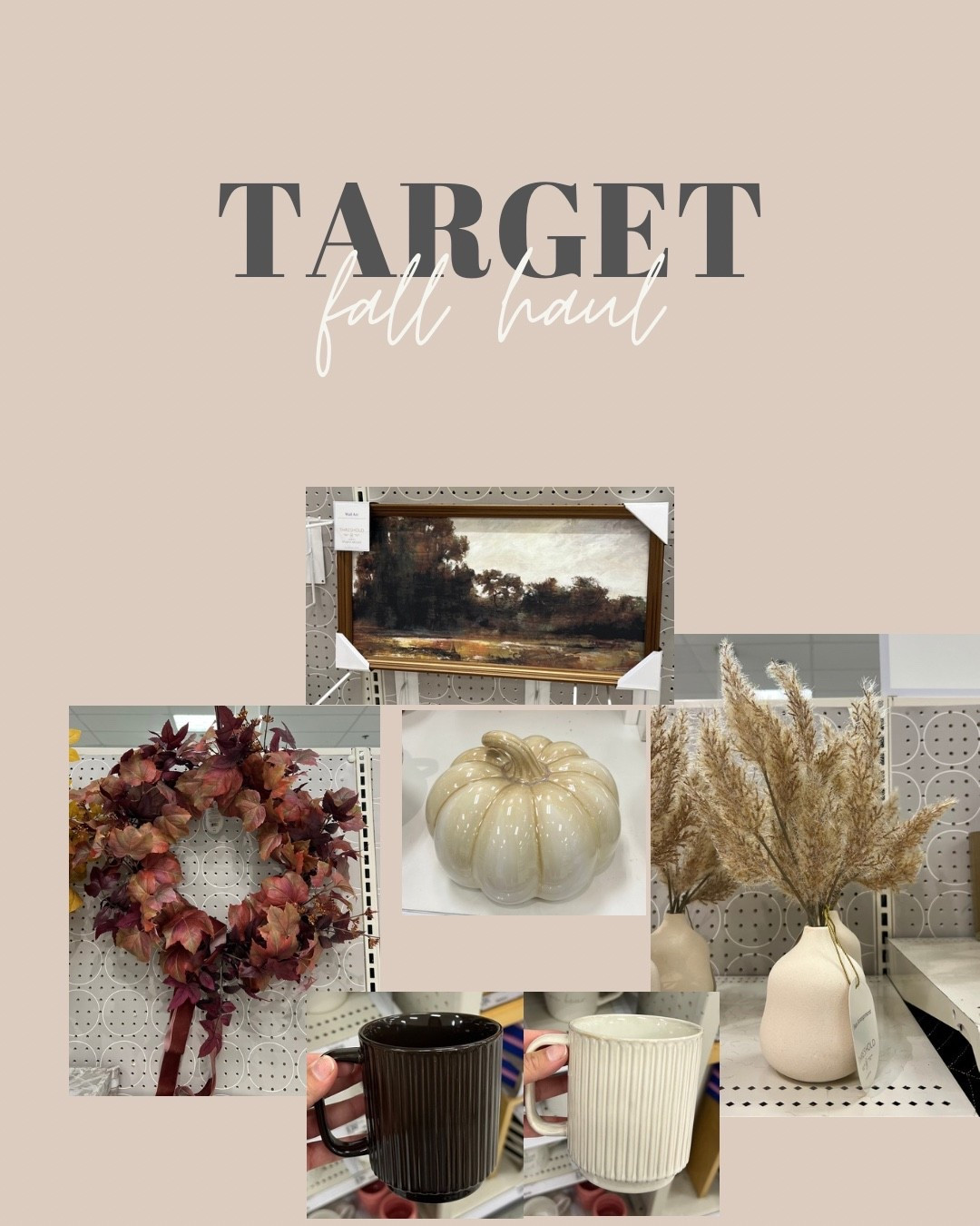Alll the cute fall finds🥹🍂🤎

#LTKHome #LTKFindsUnder100 #LTKSeasonal