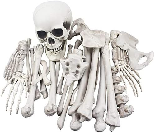 28 Pieces Skeleton Bones and Skull for Halloween Decor or Spooky Graveyard Ground Decoration | Amazon (US)