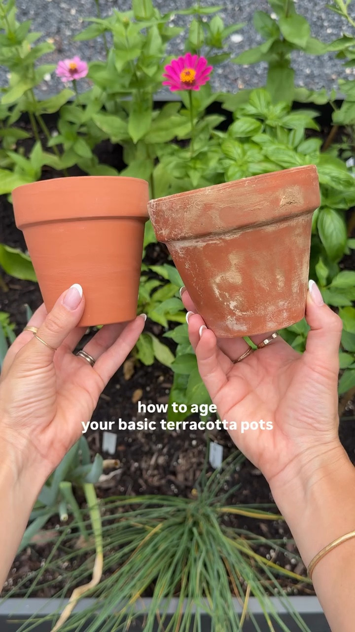 buy the cheap terracotta pots and turn them into the most perfect aged and vintage looking planters. all you need is garden lime! mention SEND below for the 🔗 

mix with a little bit of water til you get a thick chunky consistency
brush onto the pots
let try
sand off some spots
watch them age and turn over time!
I think they looked the best once they got wet
I’ve been using these since last summer 🪴

#gardenlime #vintageplanter #diyplanter #summerplants #summergarden