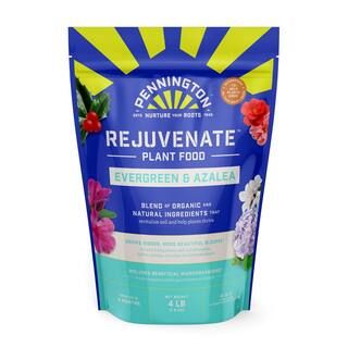 4 lbs. Rejuvenate Evergreen and Azalea Plant Food 4-3-3 | The Home Depot