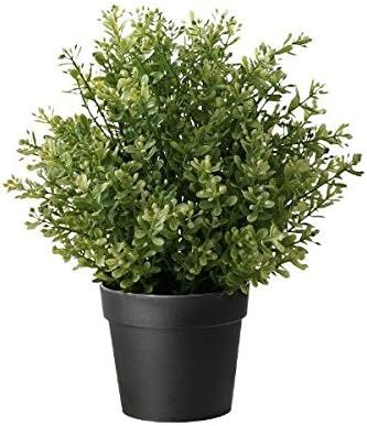 IKEA Artificial Potted Plant, Thyme, 9.5 Inch (1) | Amazon (US)