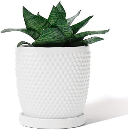 White Planters Pots for Plants Indoor - POTEY 053601 5.5 Inch Glazed Ceramic Modern Vintage-Style... | Amazon (US)