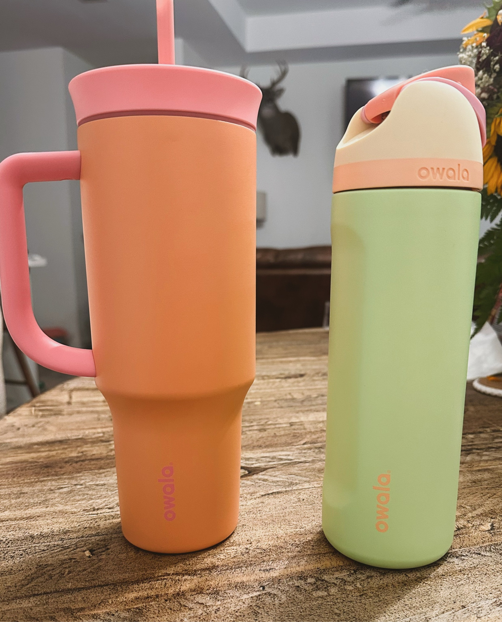 Want a no spill thermal steel cup?! These Owala cups are so good plus love the fun twist of color they come in. Added a few colors to chose from.
Target find, Amazon find, Fun color Thermal Cup, Fitness Water Bottle, No Spill Water Bottle 

#LTKGiftGuide #LTKFitness #LTKFindsUnder50