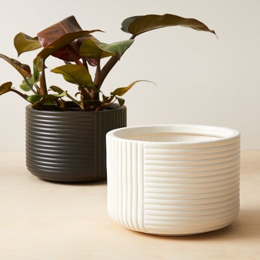 Cecilia Indoor/Outdoor Earthenware Tabletop Planters | West Elm (US)