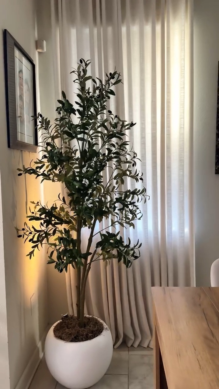 Simple details = BIG cozy impact ✨
These rechargeable LED spot lights instantly elevate any corner—perfect for plants (real or faux), shelves, or decor accents.

They’re flexible, adjustable, and come with a remote so you can switch between soft, warm, or white light + set a timer for the coziest glow 🌿🕯️
I chose them in black, but they come in other colors too.

#LTKHome #LTKSeasonal #LTKSaleAlert