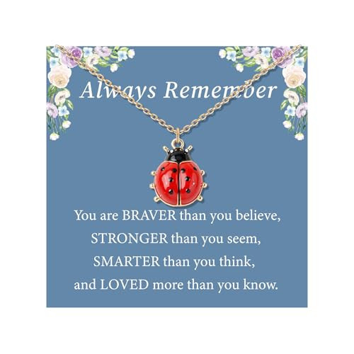 LZ Emotion 3D Stereoscopic Ladybug Necklaces for Women, Lucky Lady Bug Necklace, Good Luck Insect Gifts for Women Lady bug Lover Gift (Ladybug Necklace) | Amazon (US)