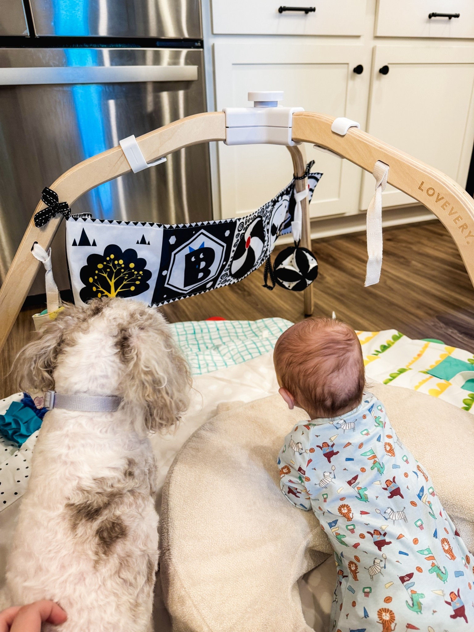This has been the absolute best play gym, we literally drag it all over the house! Entertainment for dog and baby! Also loved using my breast friend pillow for tummy time! 