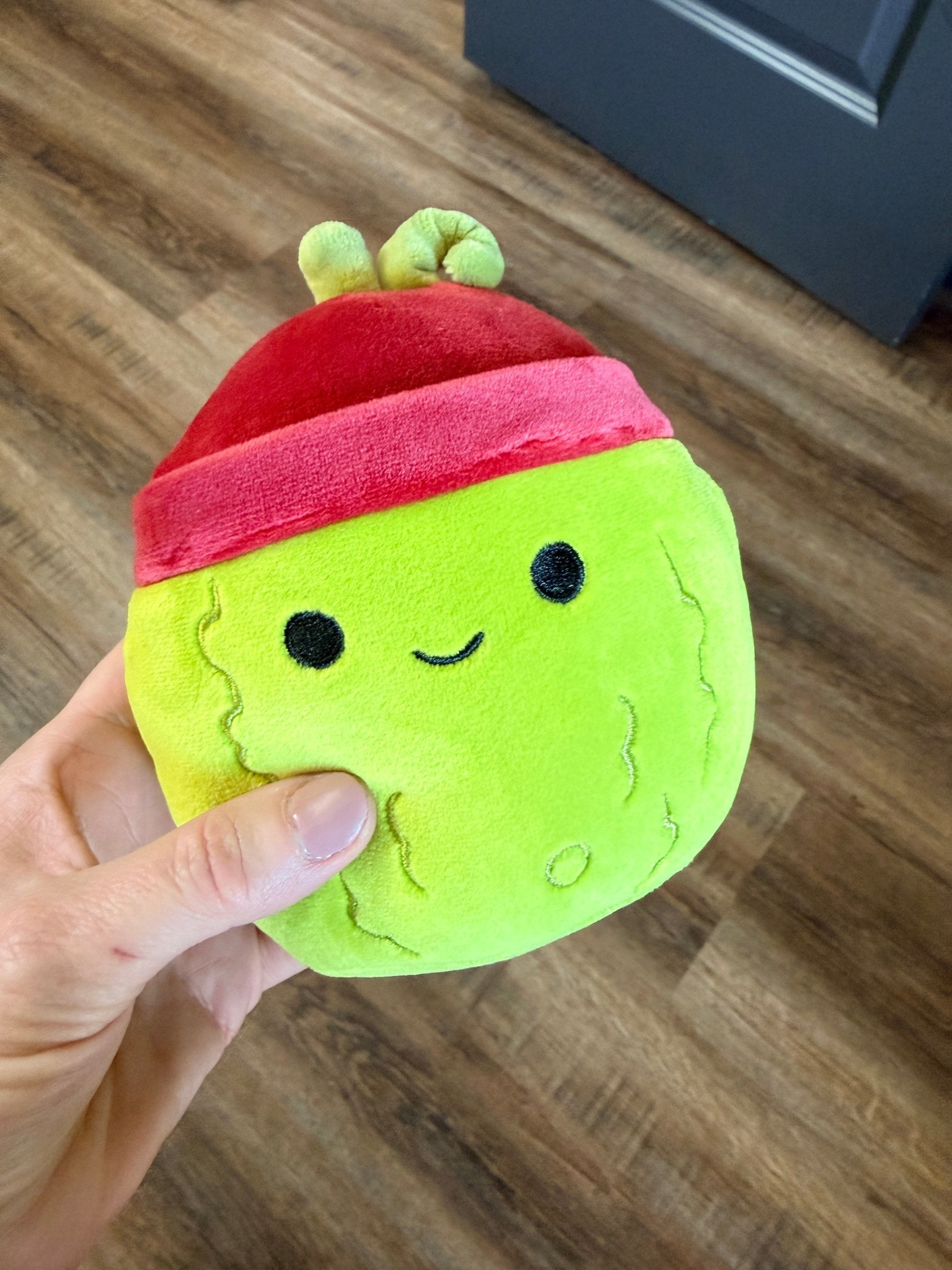 Looking for the ultimate cute plush find to add to your collection or gift to a little one? This adorable mini pickle Squishmallow is the perfect pop of color for any space. Featuring a bright green pickle body with a sweet smile, wavy textured details, and a cozy red winter beanie hat complete with tiny green stems, it brings instant whimsical vibes. This small food plushie makes an excellent stocking stuffer, Easter basket filler, or cute addition to a kids playroom shelf and nursery decor. It is a must-have for plush collectors and anyone who loves aesthetic, viral pickle toys.

pickle Squishmallow

mini pickle plushie

cute plush toys

plush collector finds

kids playroom decor

food themed plush

viral plush toys

aesthetic bedroom accents

small plush pillow

toddler gift guide

green pickle toy

plushie with hat

soft kids toys

trendy aesthetic room decor

cute stocking stuffers 

 #LTKBaby #LTKKids