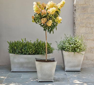 Estate Planter | Pottery Barn (US)