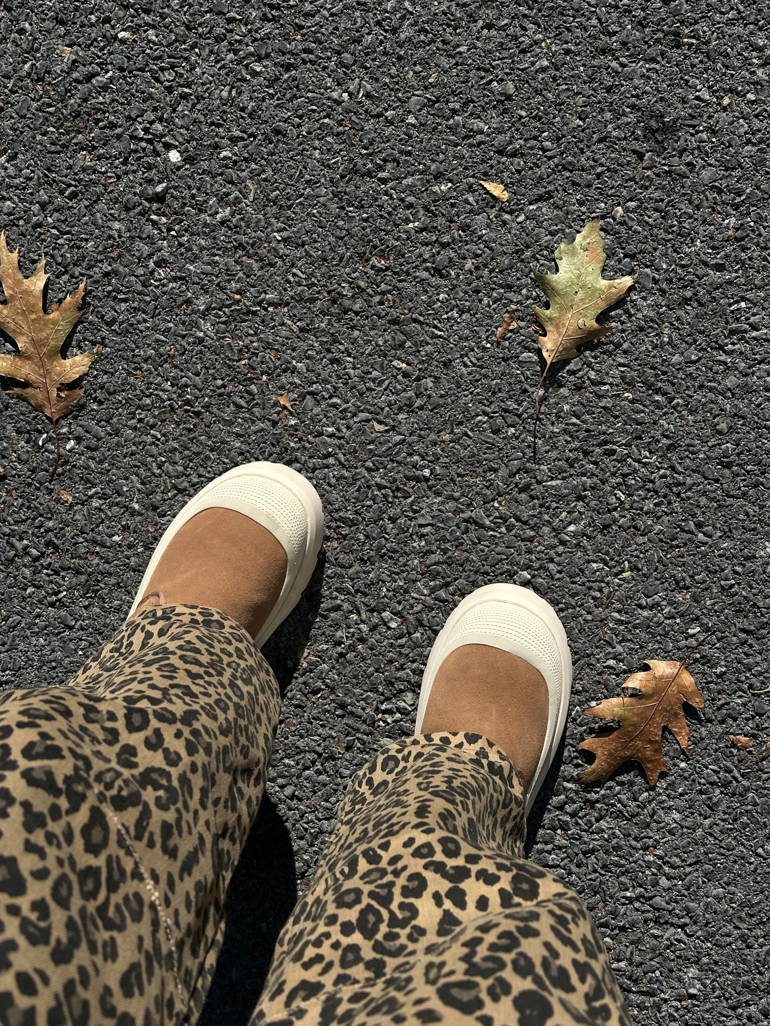 #LTKFindsUnder50 #LTKShoeCrush #LTKSeasonal