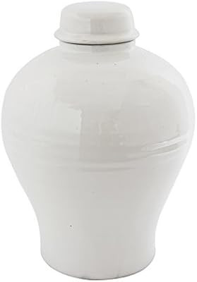 Creative Co-Op Large Round White Terracotta Cachepot, 14 Inch | Amazon (US)