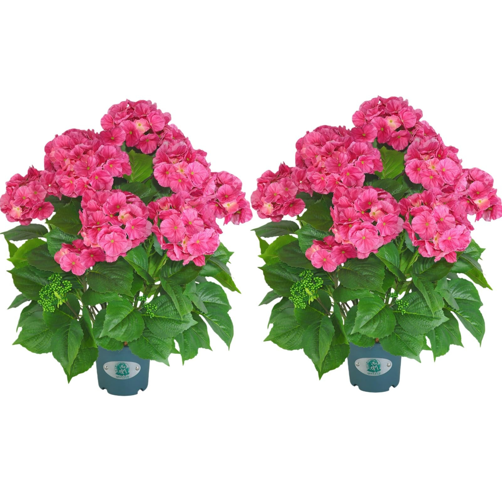 23” Artificial Hydrangea Tree in Pot, Faux Pink Hydrangea Artificial Flowers, Potted Fake Plant... | Amazon (US)