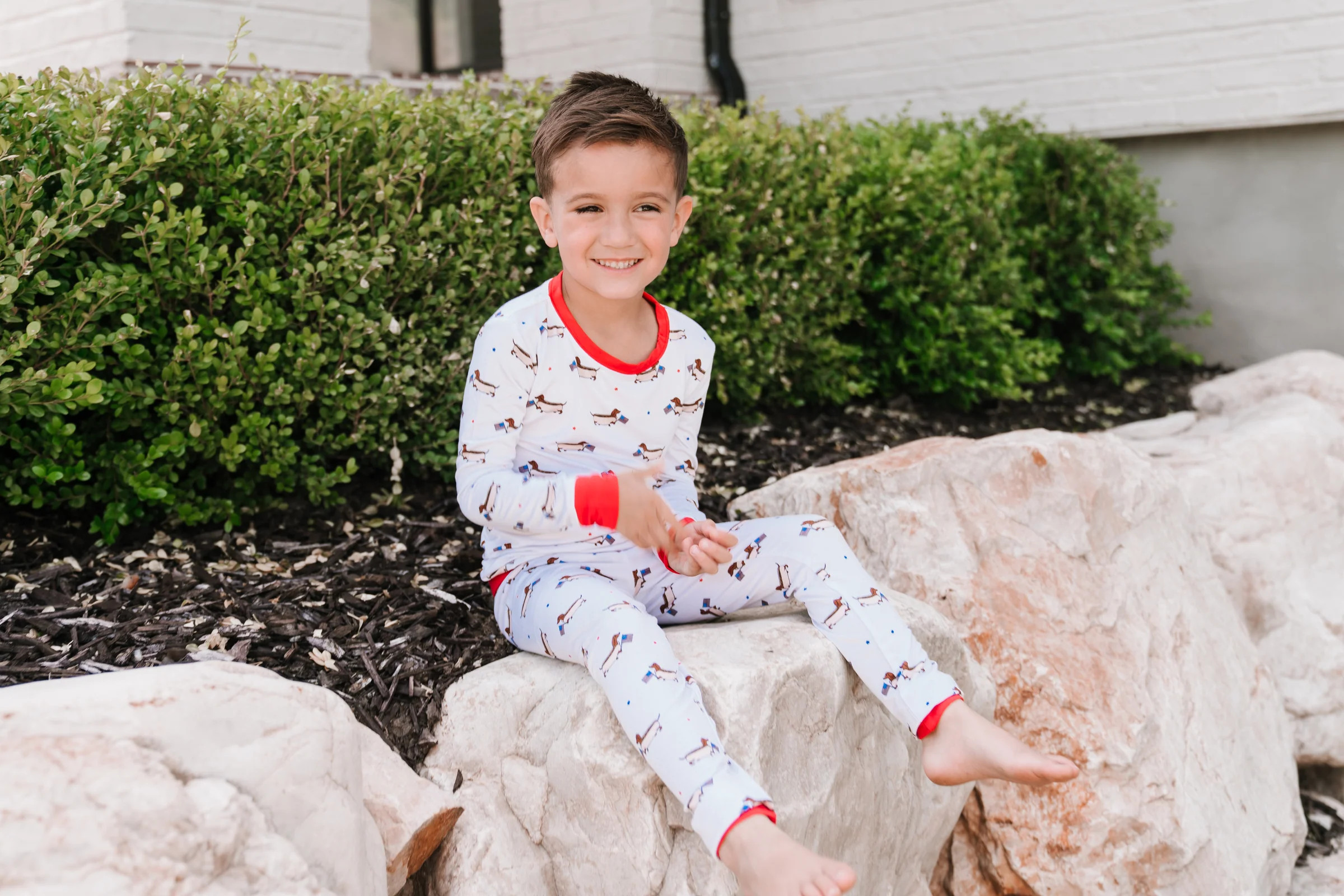 PRESTON'S AMERICAN PUPS DREAM SET | Dream Big Little Co.