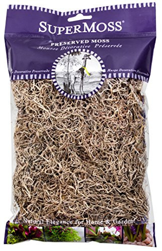SuperMoss (26901) Spanish Moss Dried – Decorative Moss for Crafts, Potted Plants, Fairy Gardens, Vase Filler, Floral Arrangements & Indoor/Outdoor Garden Projects, 120 cu in, Natural | Amazon (US)