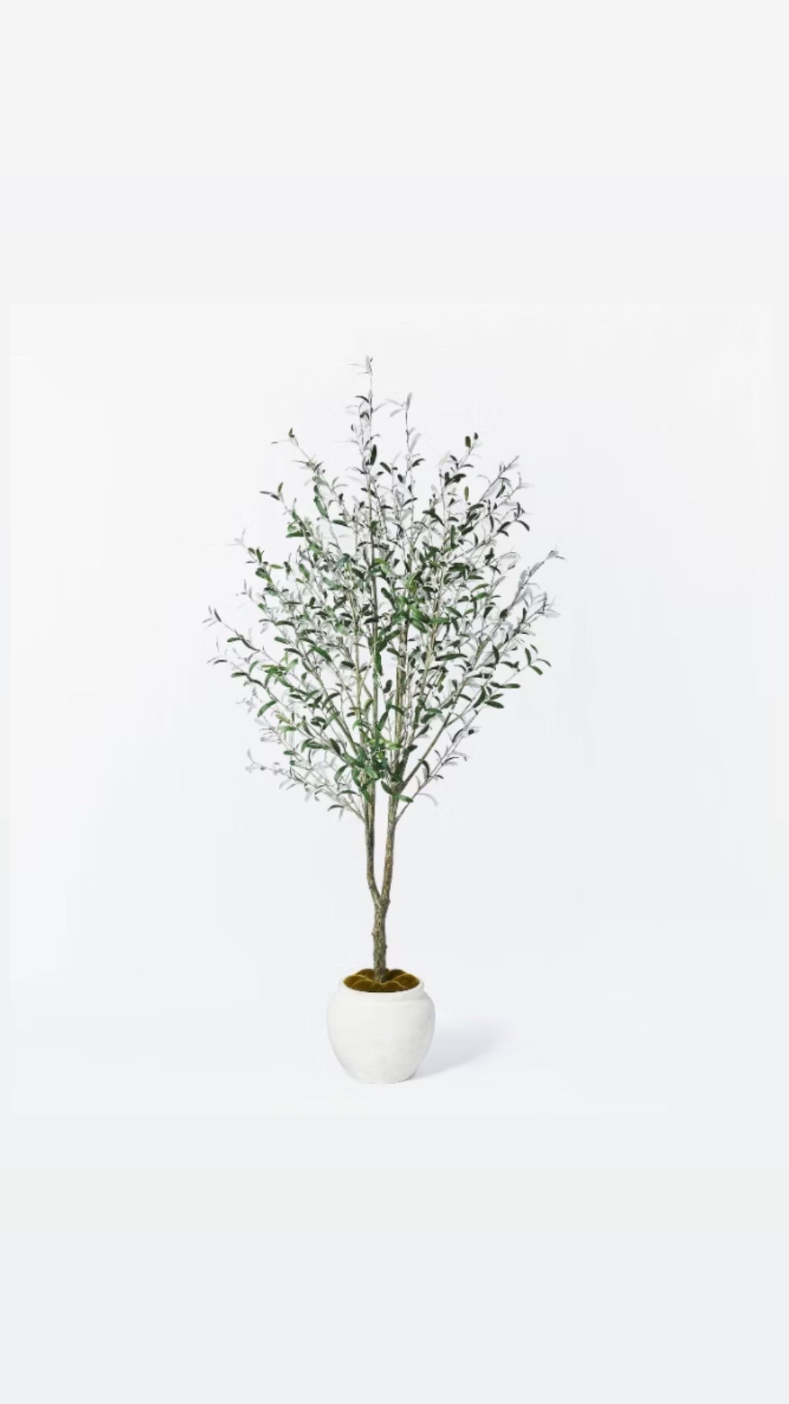 Look for less olive tree quality is so good in person and I love the the color of the vase perfect in any home 

#LTKSpringSale #LTKSaleAlert