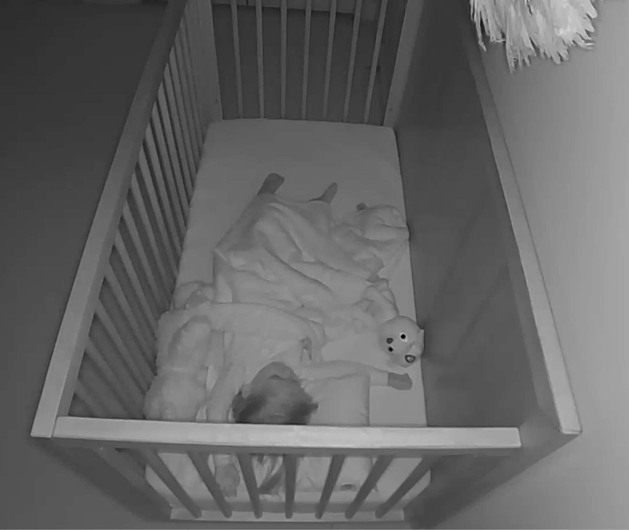 Toddler pillow Eleanor has 
#2yearold #toddler #toddlerpillow #pillow #sleeping #sleep #bedtime 

#LTKfindsunder50 #LTKkids