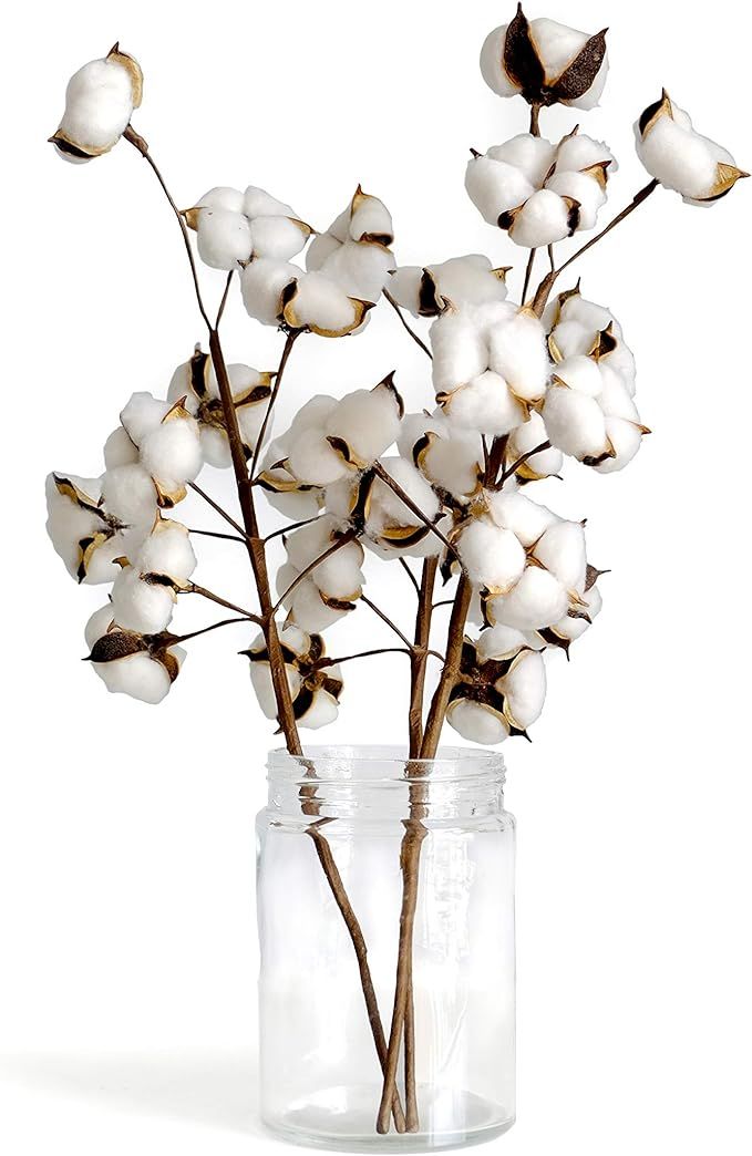 Cotton Stems Farmhouse Style Display for Floral, Wedding and Fall Decor - 3 Pack of 21 Inch Picks... | Amazon (US)
