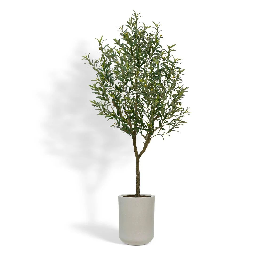 Artificial Olive 7' Tree with Artisan Mediterranean Planter | CG Hunter