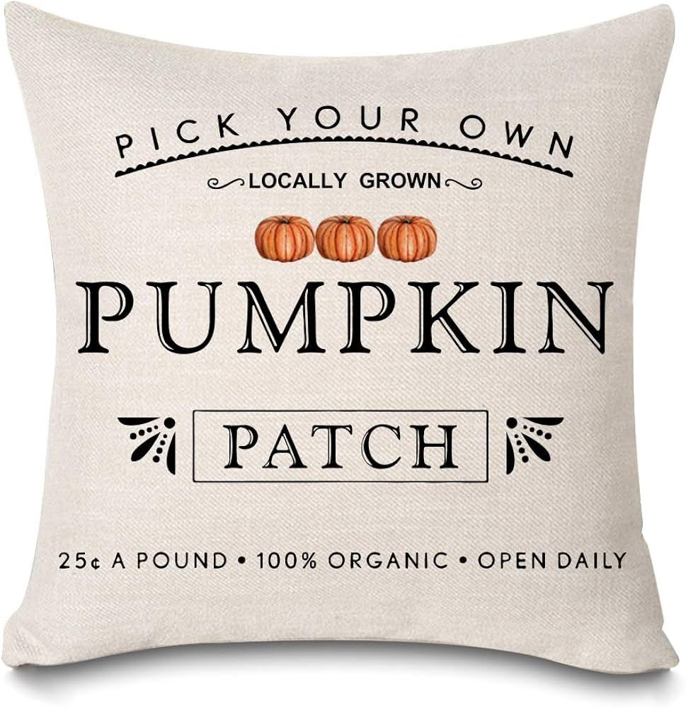 Fall Pumpkin Patch Throw Pillow Covers Autumn Harvest Pillow Case 18 x 18 Inch Farmhouse Decorati... | Amazon (US)