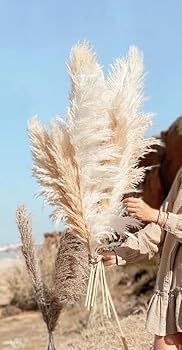 Emir&Odin 40" inch 15 Stems Natural Dried Pampas Grass – Tall, Large and Fluffy, No Shedding No... | Amazon (US)
