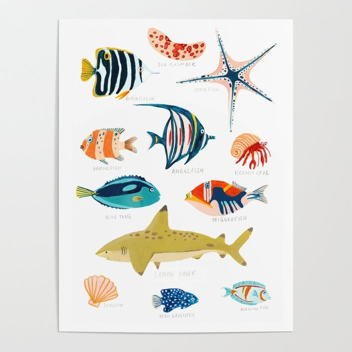 Sea Life of Fiji Poster | Society6