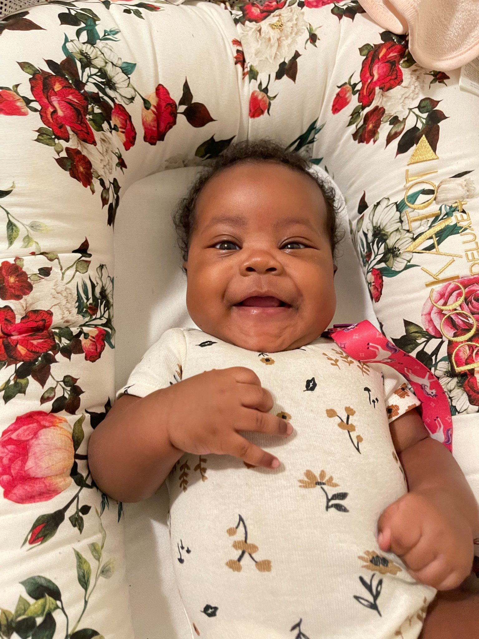 2026 mamas! Do you have a baby nest on your baby registry? All 3 of my little ones loved them! 

#LTKBaby #LTKSeasonal