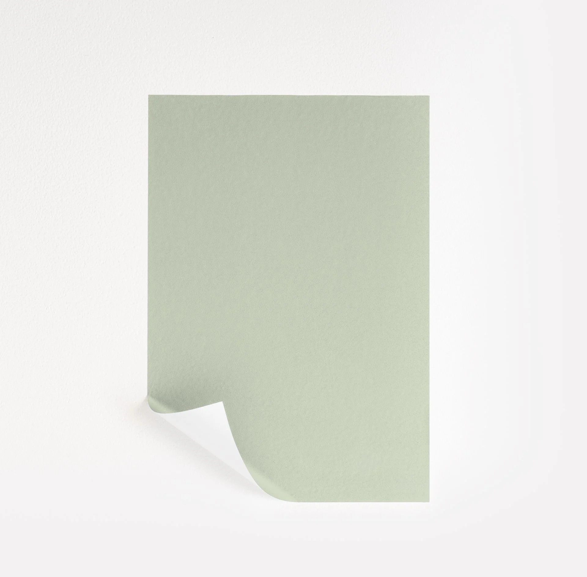 Pine Barrens Paint Sample by Benjamin Moore (437) | Peel & Stick Paint Sample | Samplize