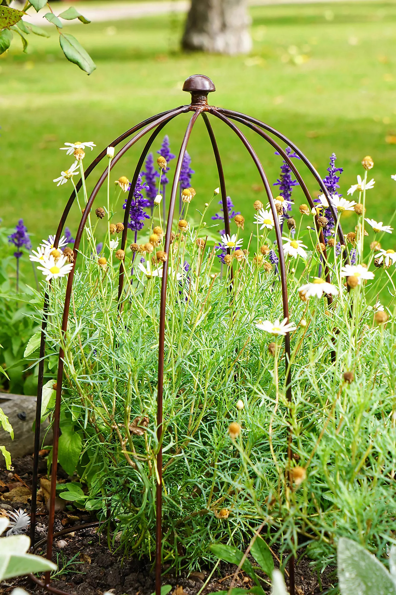 Large Outdoor Plant Support | Anthropologie (UK)