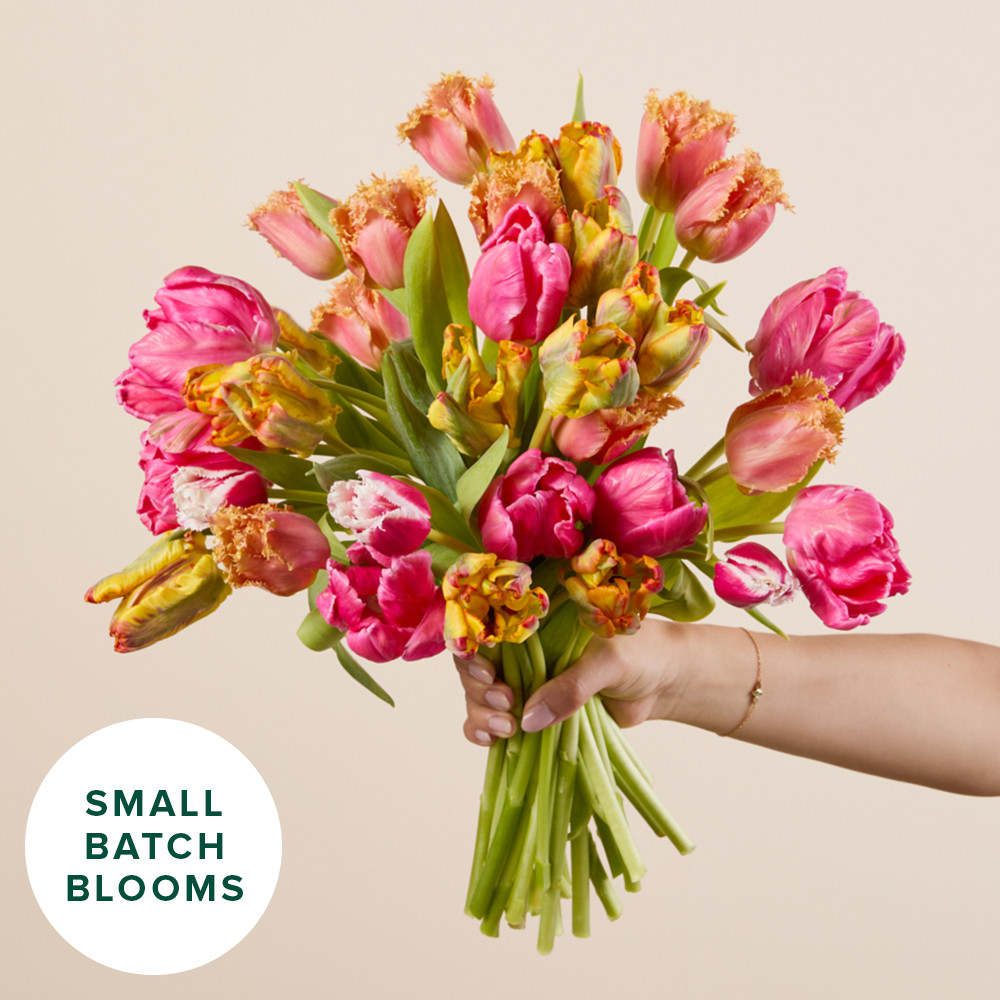 Fancy Tulip Bouquet: Farmer's Choice Parrot Tulips - The Bouqs Co. | The Bouqs Co.