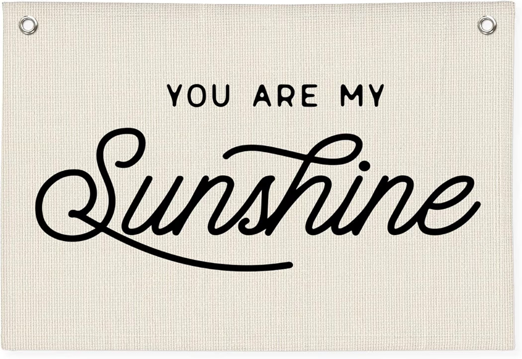You Are My Sunshine Canvas Banner, Kids Room Decor, Trendy Canvas Banner Wall Hanging Banner Flag... | Amazon (US)