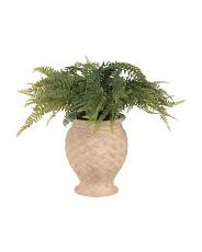 Outdoor Safe Real Touch Faux Fern In Planter | TJ Maxx
