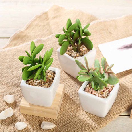 Efavormart Set of 3 | 3'' Assorted Green Mini Artificial Faux Succulent Plants in Ceramic Pot wit... | Walmart (US)