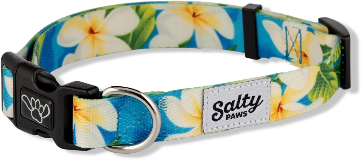 Salty Paws Blue Hawaiian Floral Dog Collar for Tropical Beach & Surf Dogs | Amazon (US)