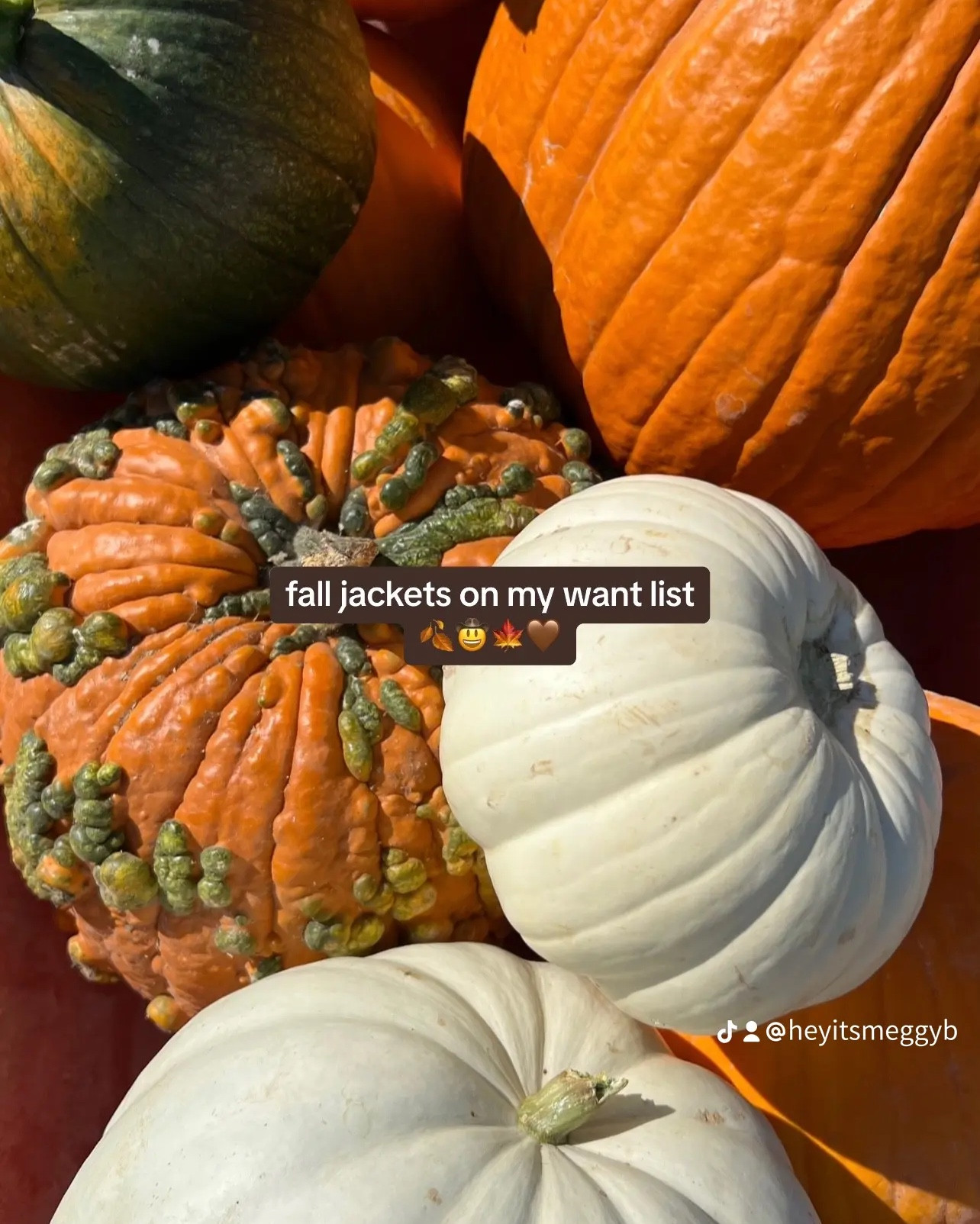 current fall jackets on my want list from anthropologie 🍂🤠🍁🤎

fall style
fall jackets
fall 2024
fall fashion
fall outfits

#LTKStyleTip #LTKSeasonal